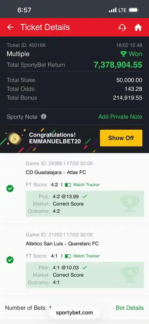 Premium VIP Fixed Match Ticket 143 Odds 17 February 2026